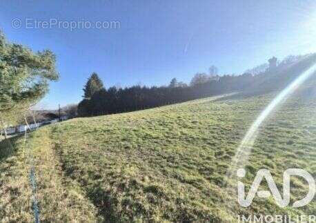 Photo 3 - Terrain à MASSERET