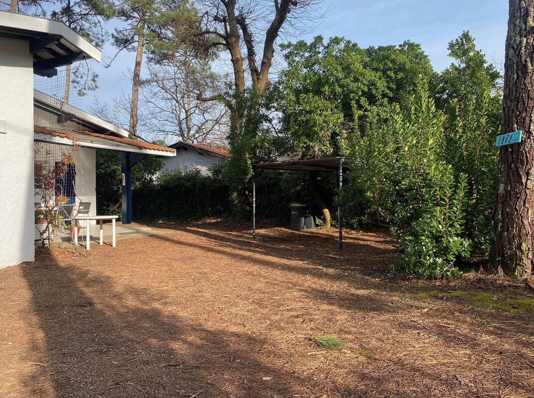 Maison à LEGE-CAP-FERRET