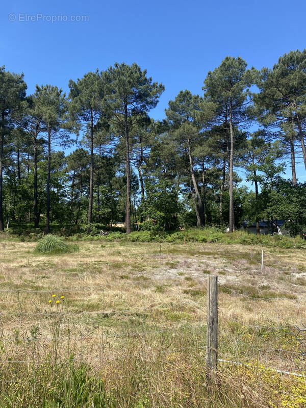 Terrain à MARTIGNAS-SUR-JALLE