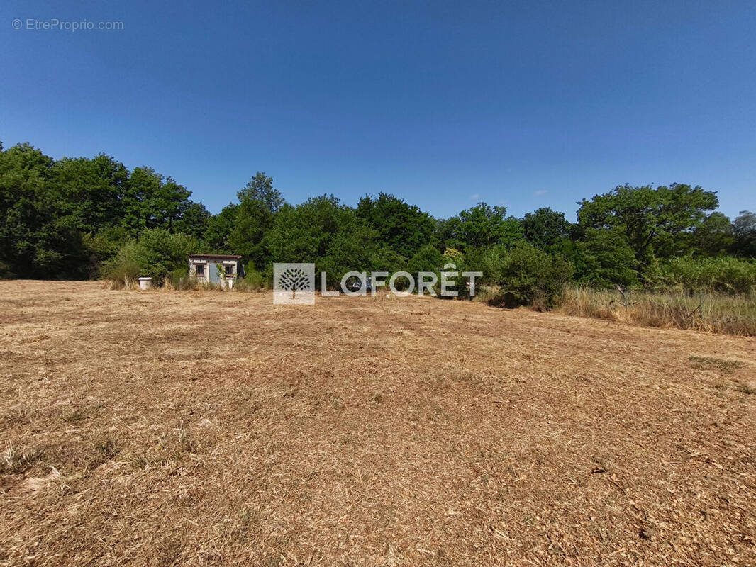 Terrain de loisirs non constructible avec cabanon Maureillas-Las-Illas - photo 2