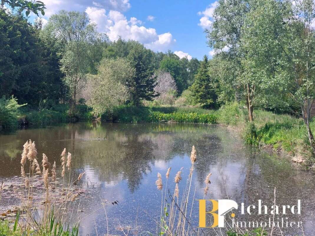 A vendre - etouvelles - etang - photo 2