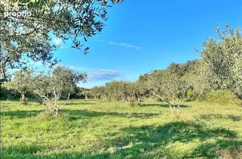 Terrain à SAINT-SIFFRET