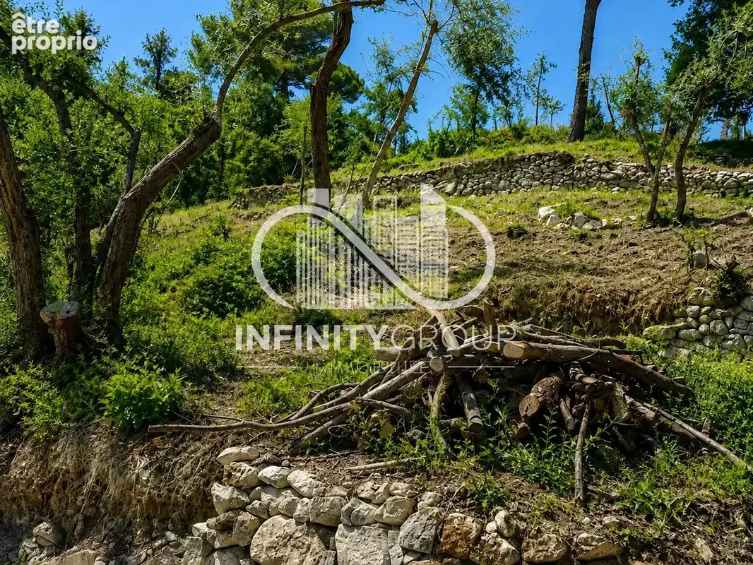 Terrain constructible de 1 000 m² à Drap – Cadre naturel et calme - photo 2