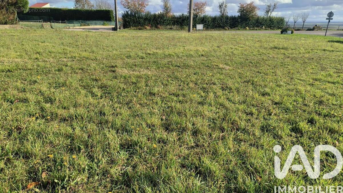 Photo 1 - Terrain à MONTGUEUX