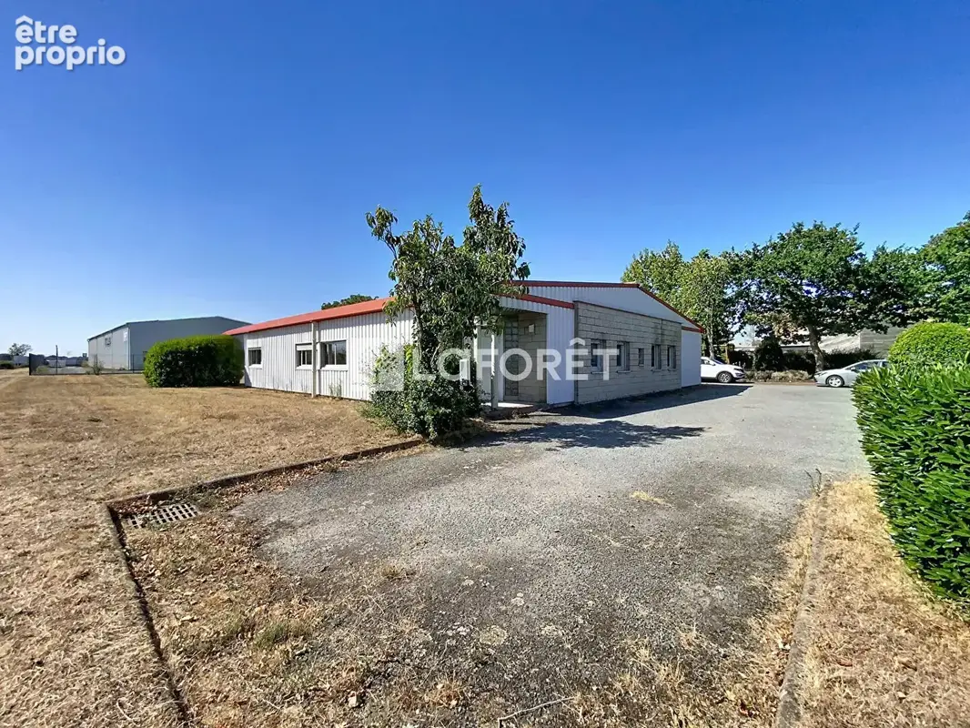 Bâtiment Toutlemonde 275 m2 - photo 8