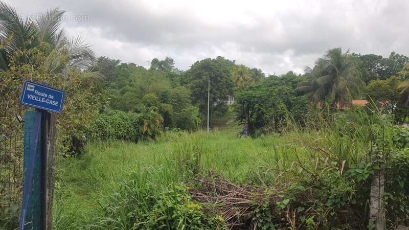 Terrain à SAINTE-ANNE