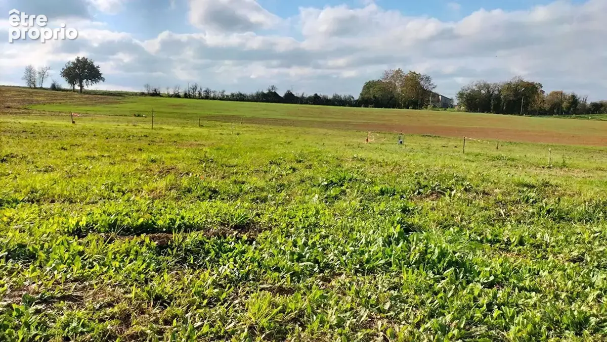 Terrain 1989m² Fleurance (32500) 843m² constructible - photo 9