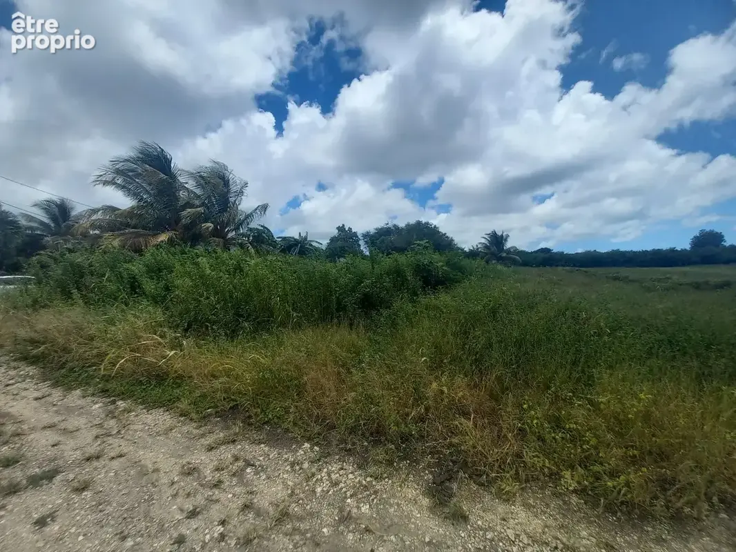 TERRAIN- Saint-François - photo 2