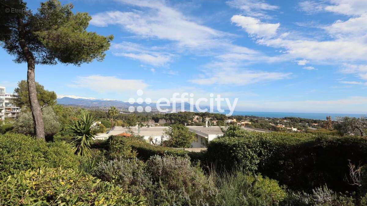 Appartement - photo 3