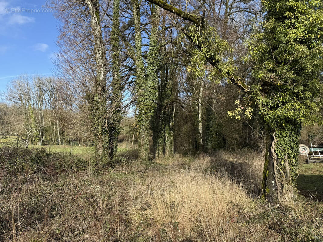 Terrain à SAINT-PHAL