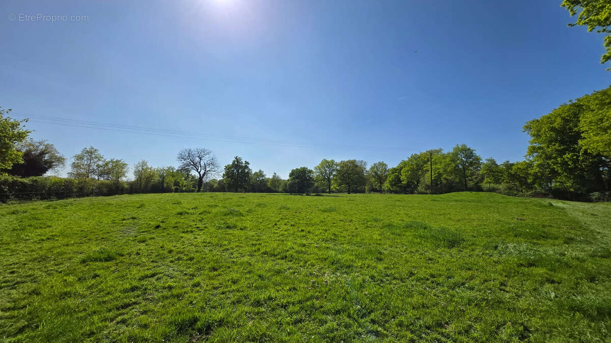 Maison à SAINT-FLORENT-DES-BOIS