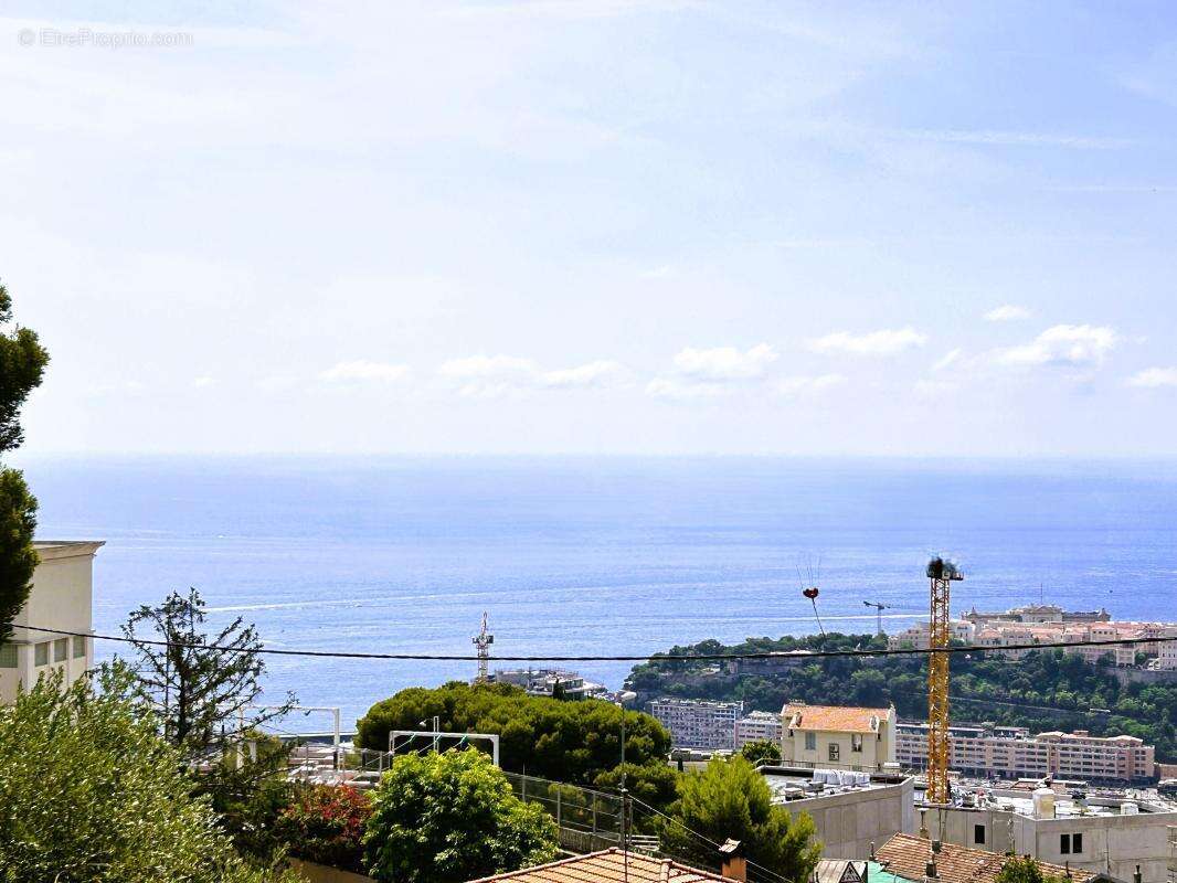 Propriete aux portes de monaco - photo 13