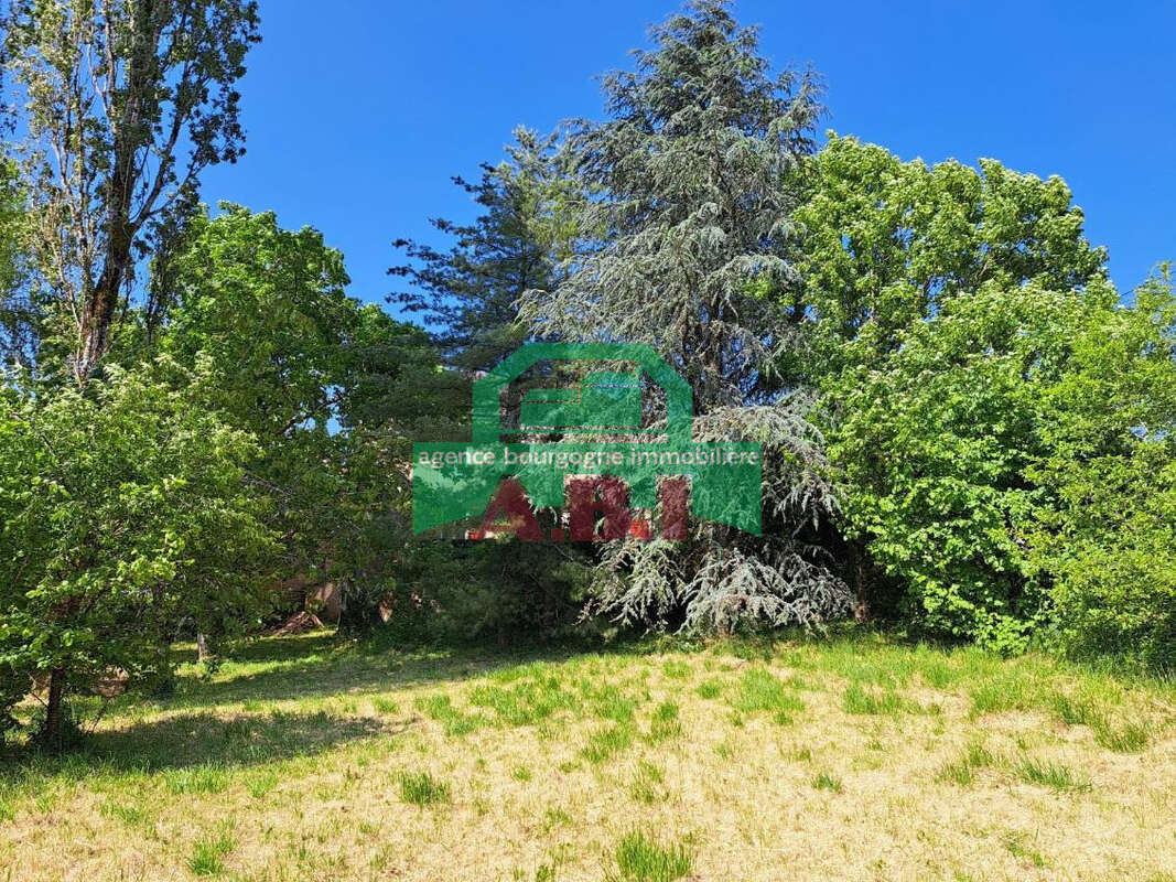58, Morvan Lormes - Maison indépendante  style Bourgeoise bon volumen habitalbe sur 3091m2 de terrain. - photo 4