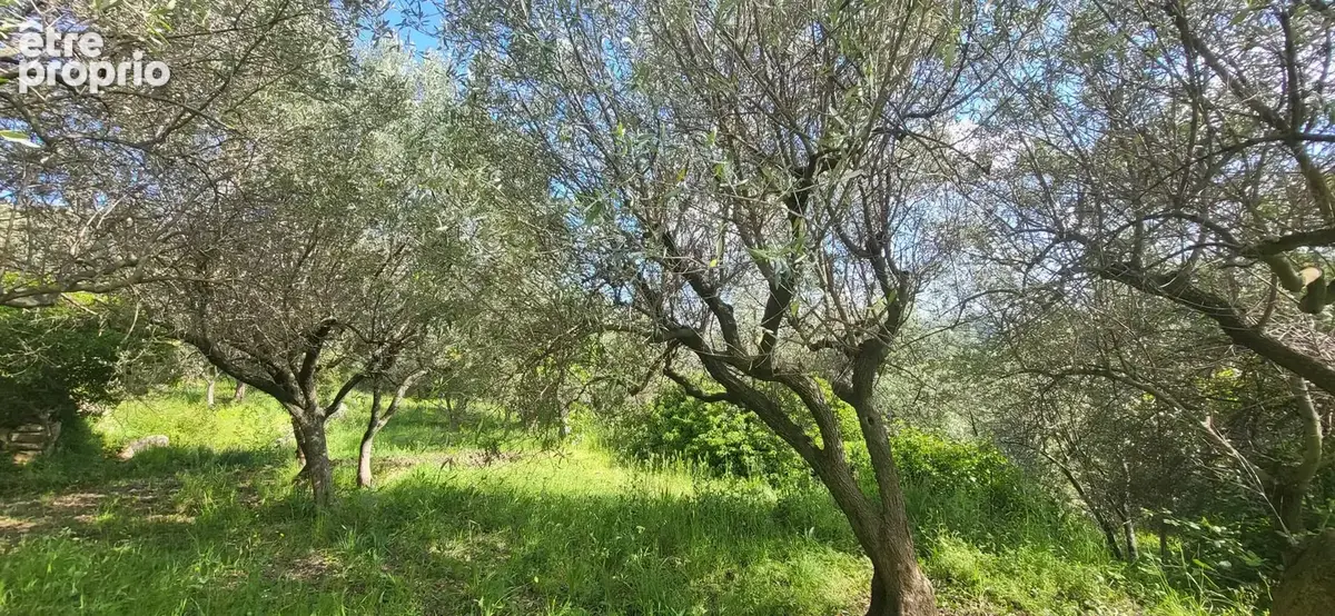 Bastidon - Callas - Var - photo 13