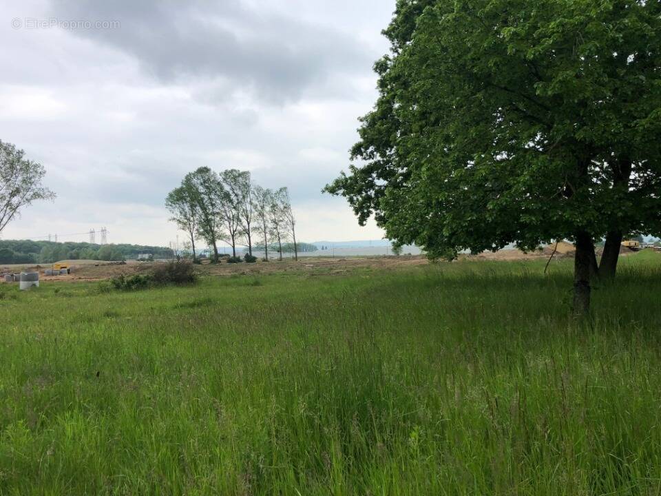 Terrain à THIONVILLE