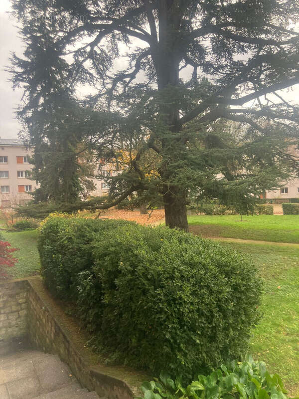 Appartement à SURESNES