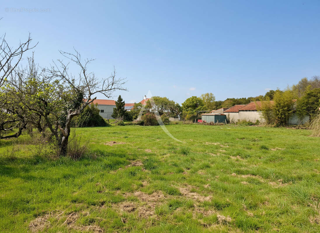 Terrain à SAINT-HILAIRE-DE-CHALEONS