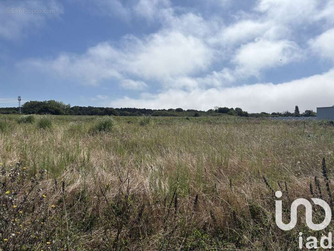 Photo 4 - Terrain à RIANTEC