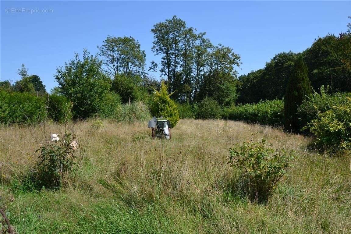 Maison 80 m² à Le Merlerault  - photo 15