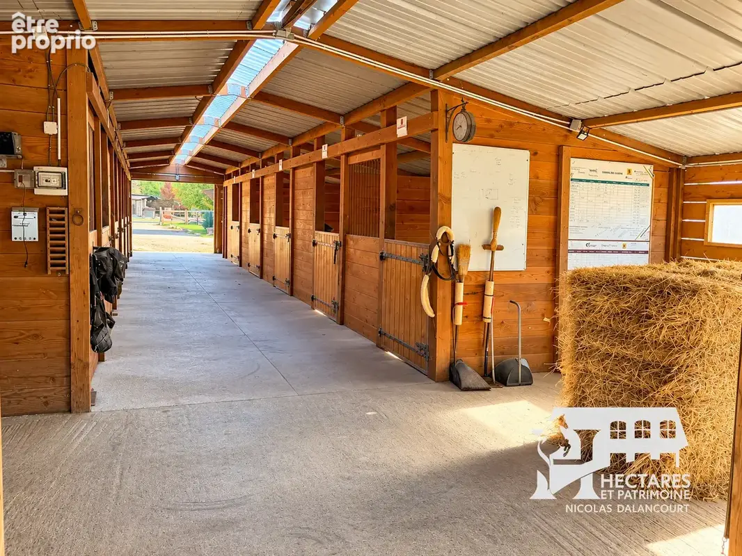 Propriété équestre   9 hectares   maison 134 m2   manège   carrière   écuries - photo 6