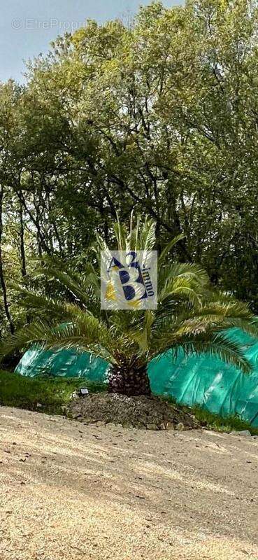 Maison à SAVIGNAC-LES-EGLISES