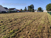 Terrain à SAINT-LAURENT-NOUAN