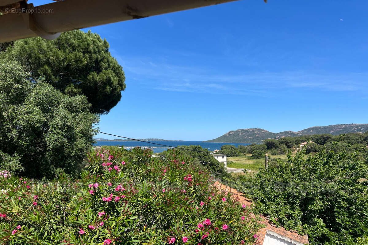 Maison 6 pièces 161 m² à vendre à Porto-Vecchio (20137) - photo 2