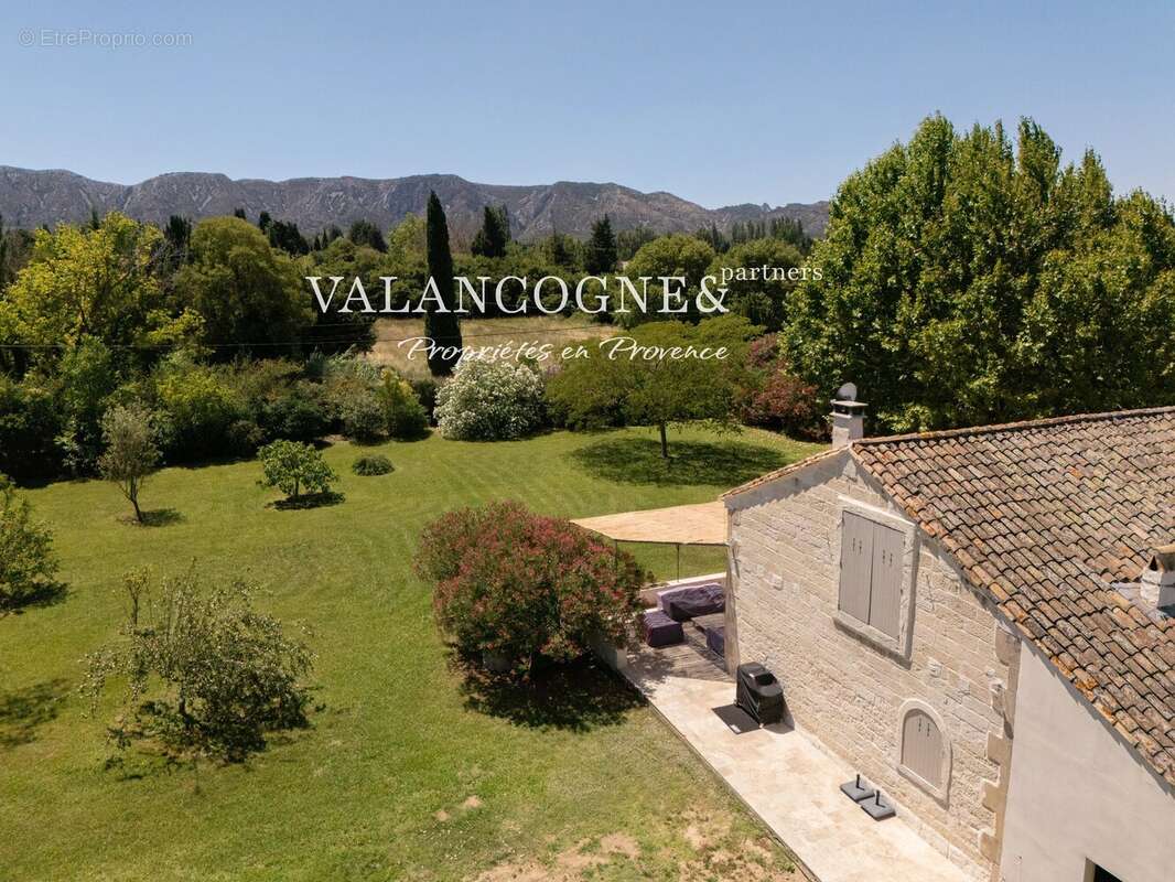 Mas provencal -  saint remy de provence - photo 18