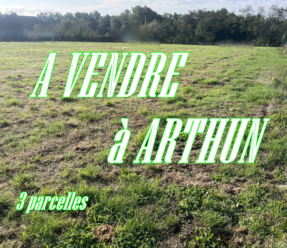 Terrain à ARTHUN