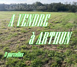 Terrain à ARTHUN
