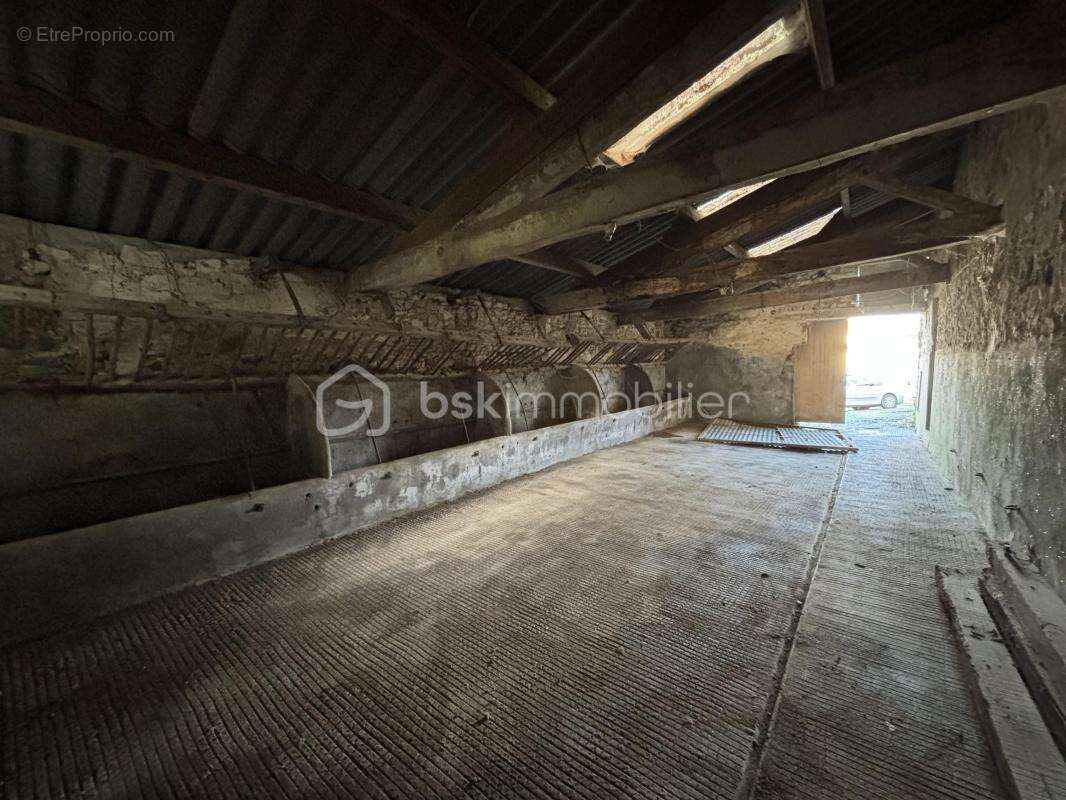 Grange en pierre, à usage non résidentiel – Chavagnes-en-Paillers - photo 7