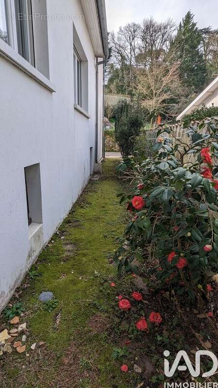 Photo 4 - Maison à MONTENDRE