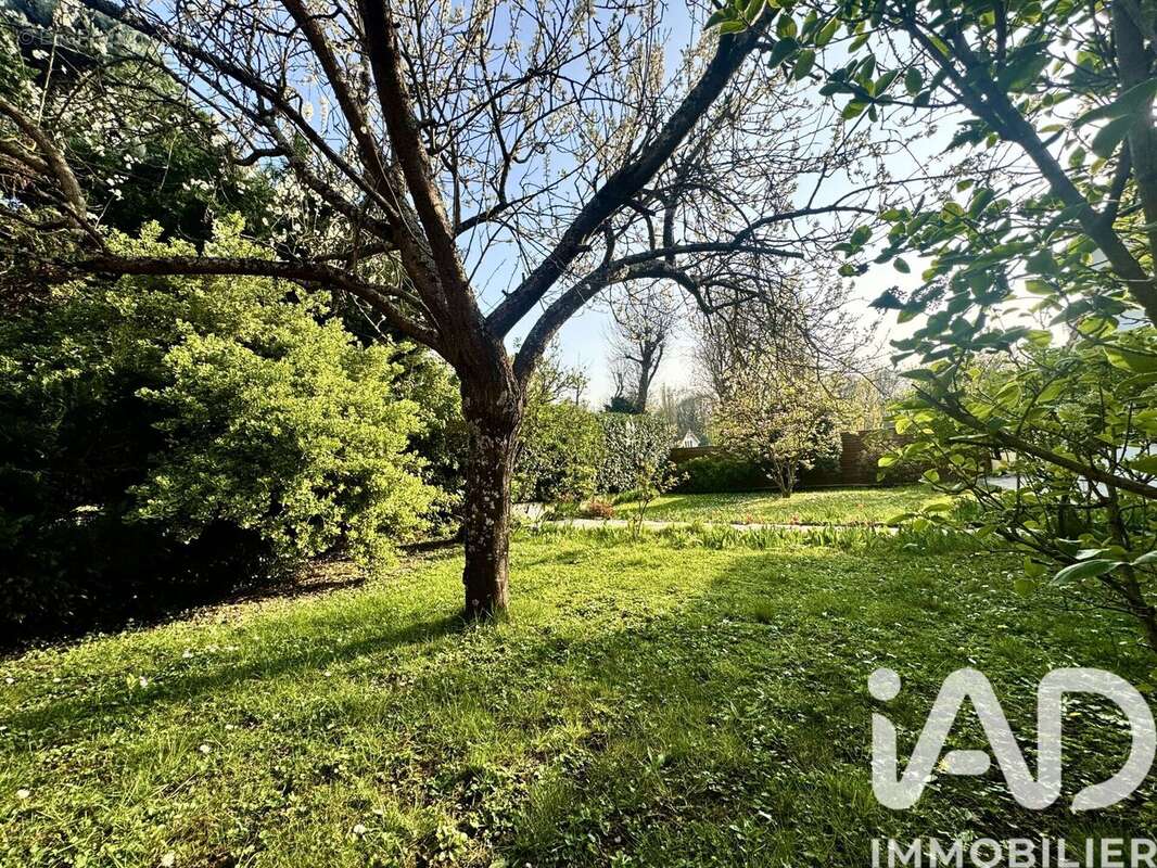 Photo 3 - Maison à DRAVEIL