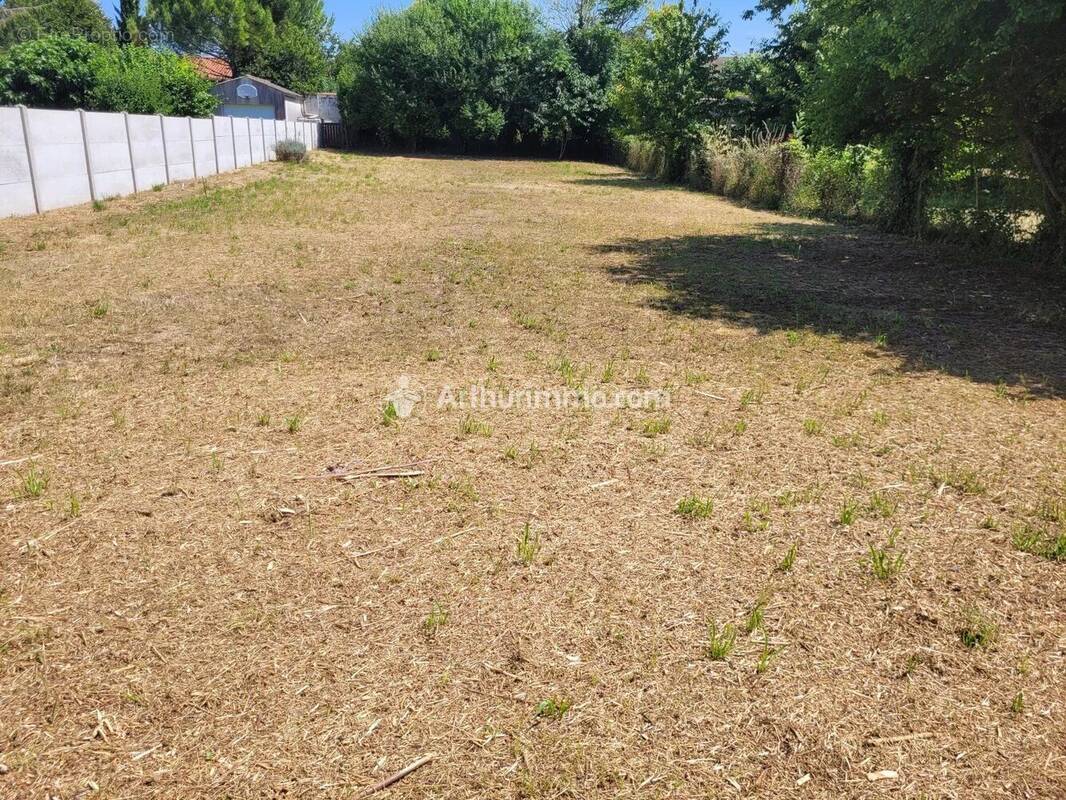 Terrain à SAINT-JEAN-D'ANGELY