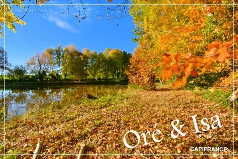 Terrain à SAINT-DESIRE