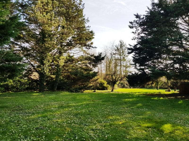 Terrain à MIGNALOUX-BEAUVOIR