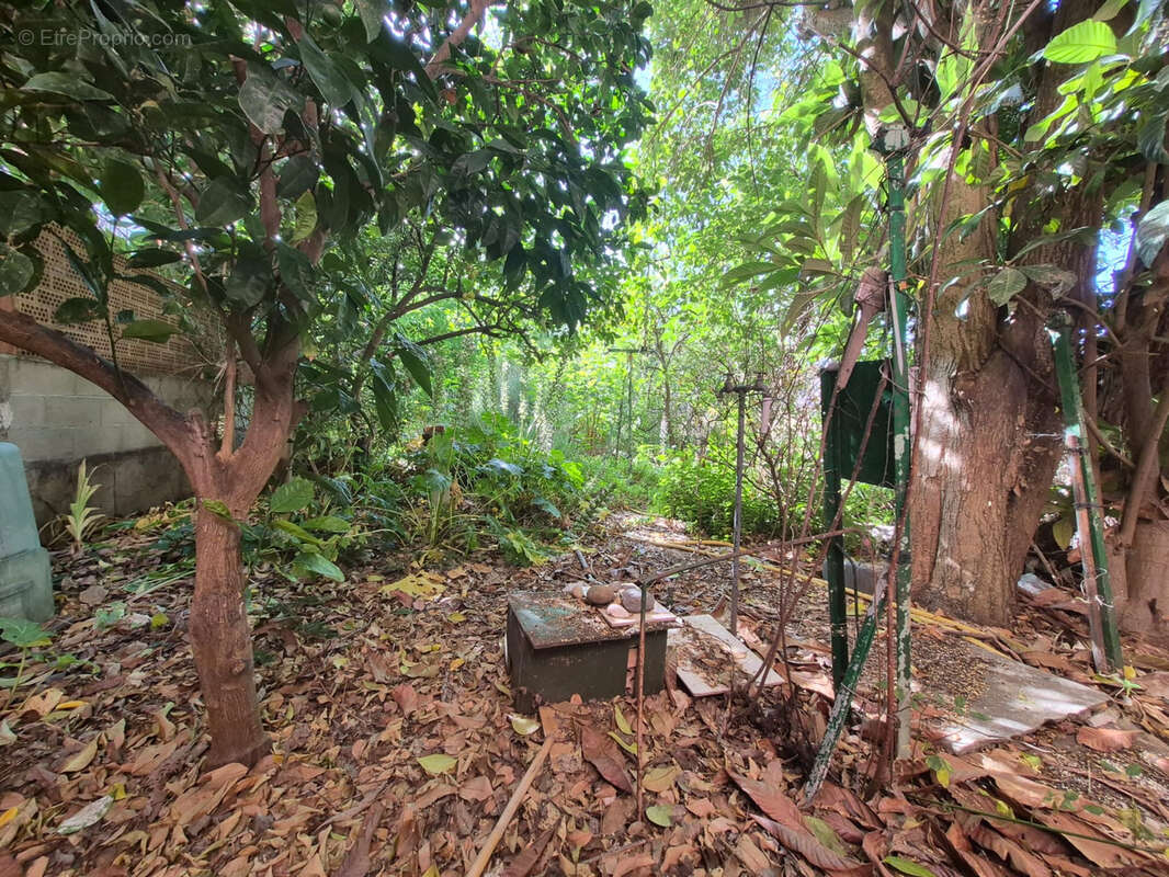 À vendre   Maison de ville avec jardin et garage   Perpignan Saint-Vicens - photo 2