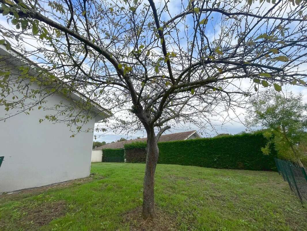 Maison à SAINT-GEOURS-DE-MAREMNE