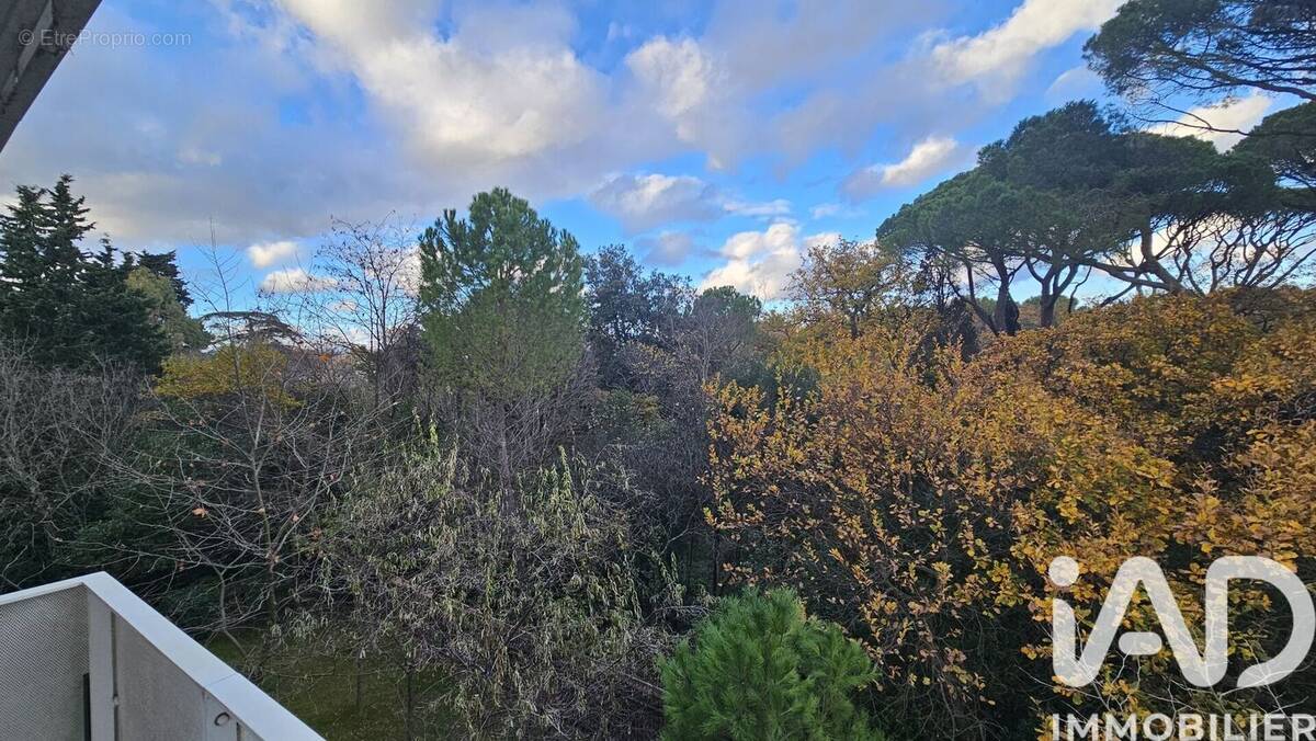 Photo 1 - Appartement à MONTPELLIER
