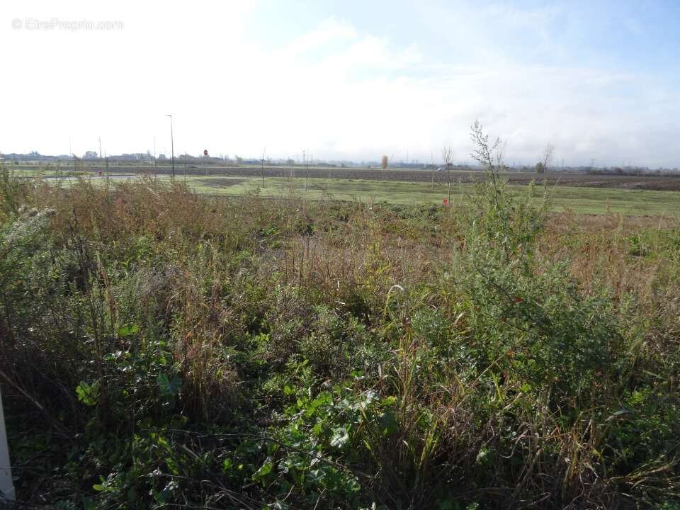 Terrain à GRISOLLES