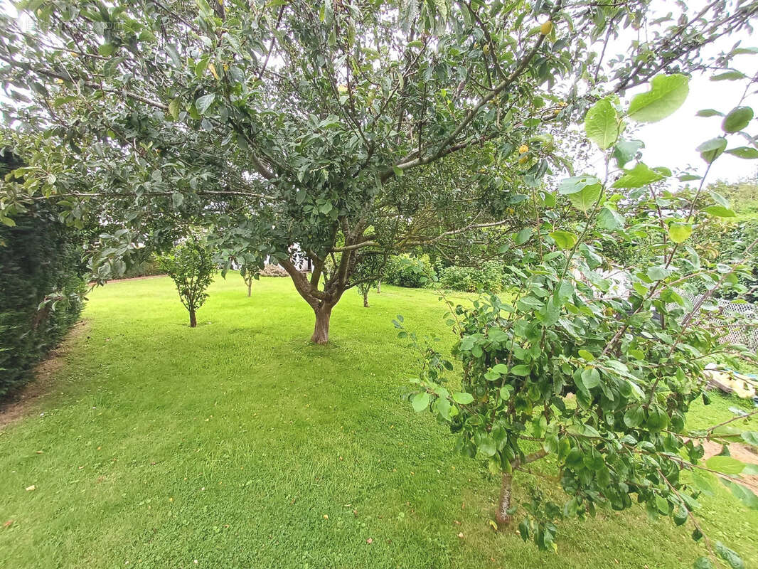 Maison à BRACQUEMONT