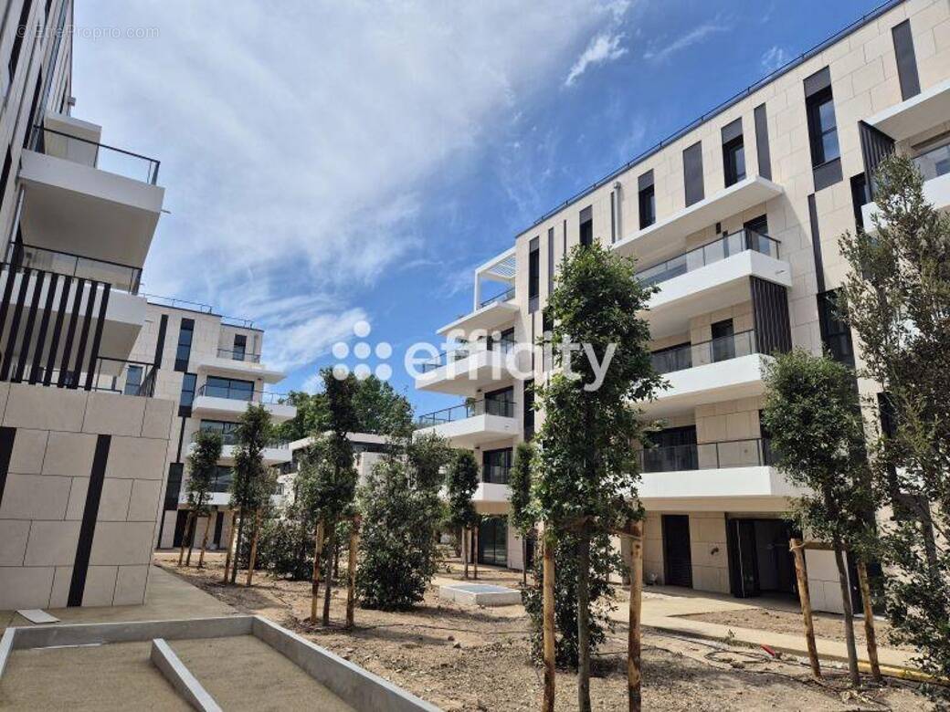 Commerce à MARSEILLE-8E