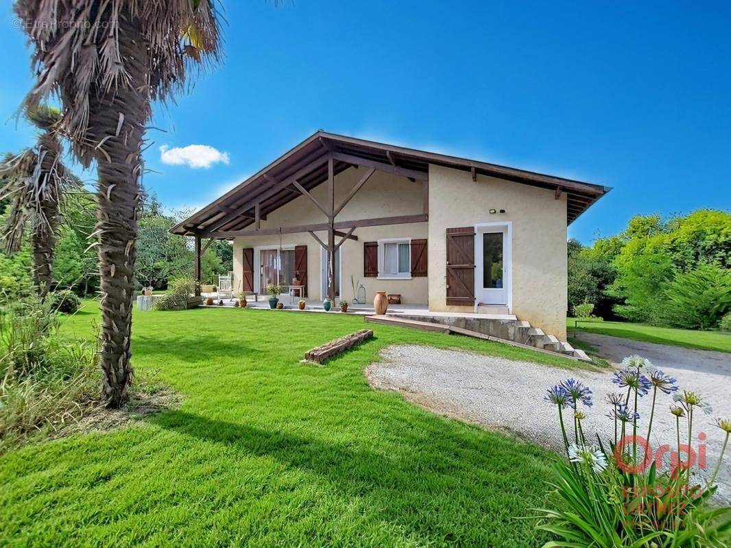 Maison à AMOU