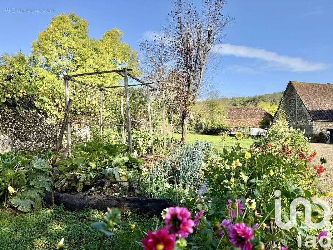 Photo 7 - Maison à LAMOTHE-FENELON