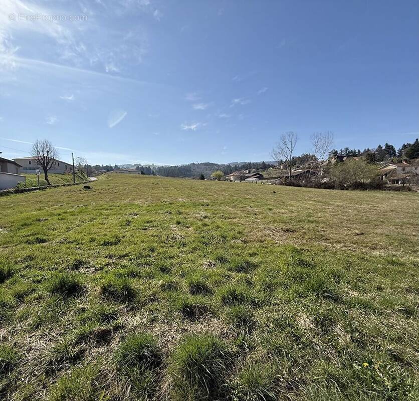 Terrain à SAINT-ANDRE-D'APCHON