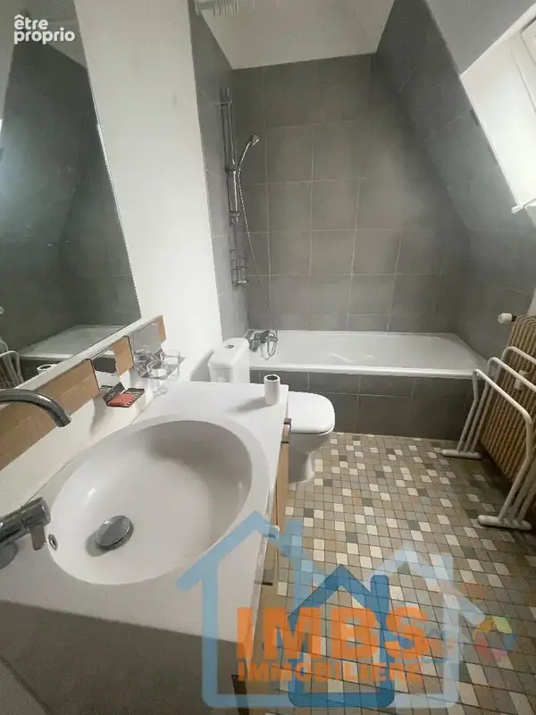 Appartement 1 pièce 51 m² à vendre à Mulhouse (68100) - photo 3