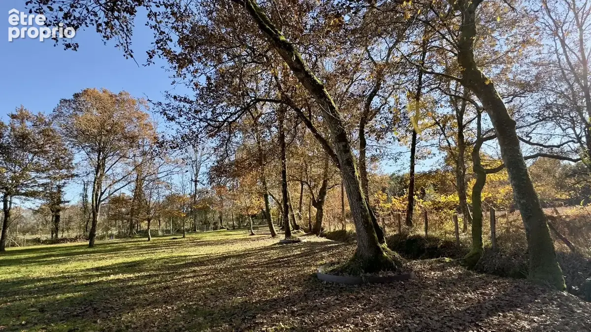 Maison de caractère avec piscine sur environ 2 hectares - photo 16