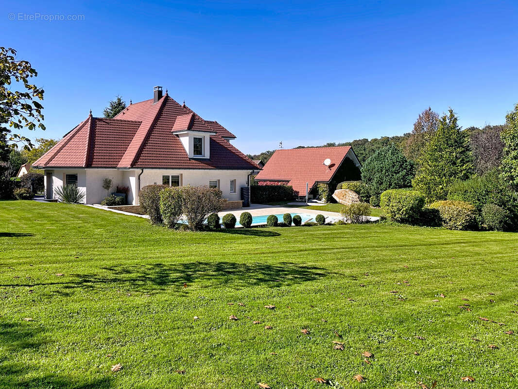 Maison à DANNEMARIE