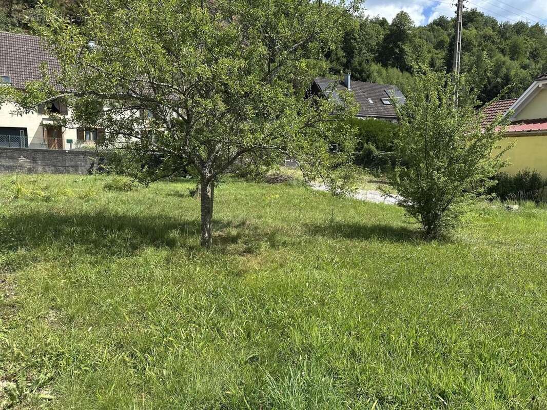 IMG_0321 - Terrain à ODEREN