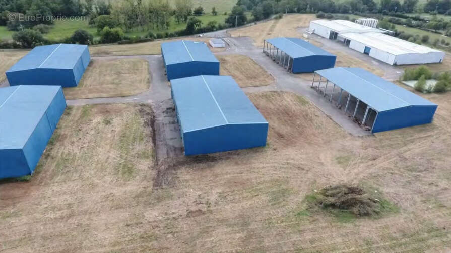 Commerce à CARBONNE